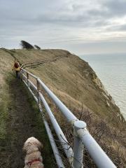 Quite spectacular cliff top walking near Abbot's Cliff